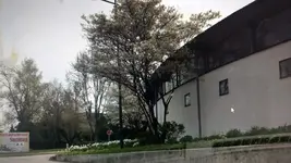 BAumx.webp