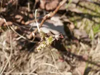 P4130380.webp