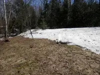 P4130381.webp