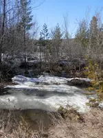 P4130390.webp