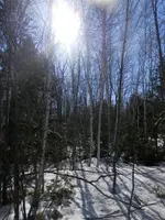 P4130393.webp