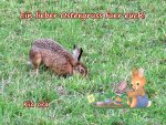 IMG_1429Ostern H&G.jpg