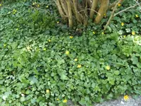 BILD6348.webp
