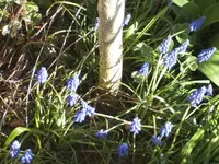 BILD6350.webp