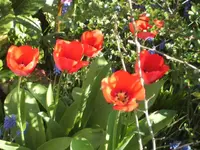 BILD6351.webp