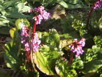 BILD6352.webp