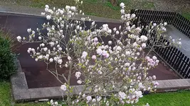 20170413_125911.webp