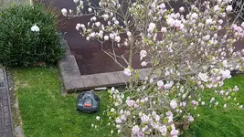 20170413_125919.jpg