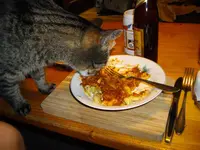IMGP4787.webp