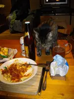 IMGP4786.webp