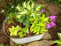 Zinkwanne_April2017.msg.webp
