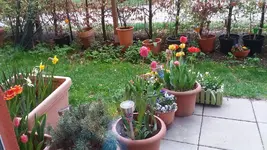 20170416_165140_resized.webp
