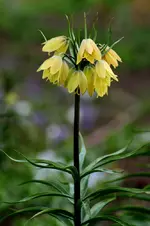 1174.webp