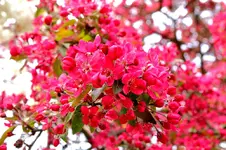 1255.webp