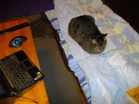 IMGP4797.webp