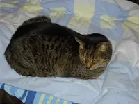 IMGP4799.webp