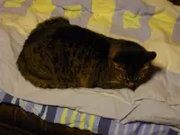 IMGP4801.webp