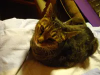 IMGP4802.webp
