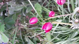 20170414_183456.webp