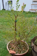 DSC_0685.jpg