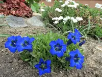 DSC09310.webp