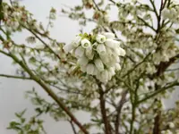 DSC09315.webp