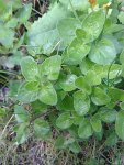 IMG_20170417_113642.jpg