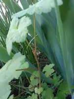 IMG_20170417_162033.webp