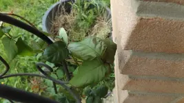 DSCF1751.jpg