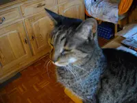 IMGP4804.webp