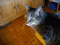 IMGP4805.webp