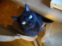 IMGP4810.webp