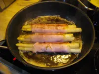 IMGP4819.webp