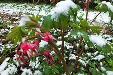 DSCF8711 (2).webp
