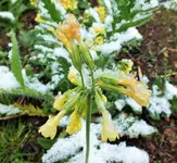 DSCF8714 (2).webp