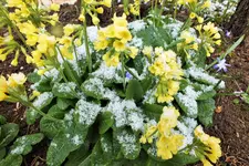 DSCF8715 (2).webp