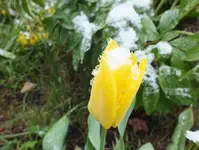 DSCF8718 (2).webp