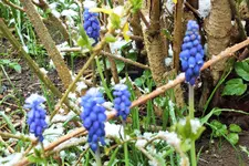 DSCF8717 (2).webp