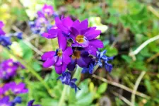 DSCF8701 (2).webp