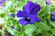 DSCF8705 (2).webp