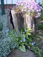 DSCF5440.webp