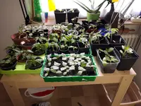 20170418_161903.jpg