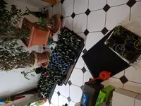 20170417_104008.webp