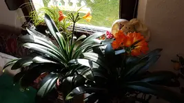 20170418_173438.webp