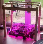 2017-04-19_13.29.27.jpg