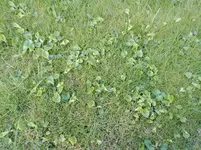 IMG_20170419_183658.jpg