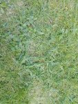 IMG_20170419_183624.jpg