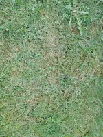 IMG_20170419_183537.webp