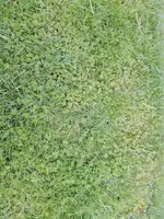 IMG_20170419_183517.webp