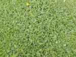 IMG_20170419_183427.jpg